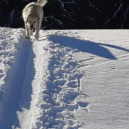 Bichlers Wagnerhof * Going am Wilden Kaiser