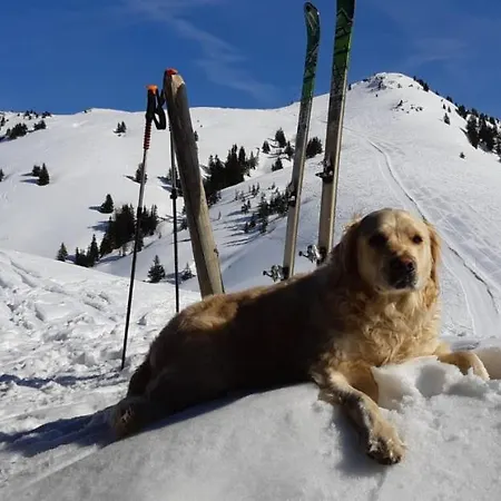 Bichlers Wagnerhof * Going am Wilden Kaiser